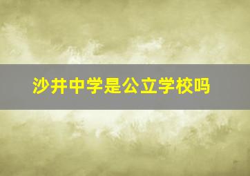 沙井中学是公立学校吗