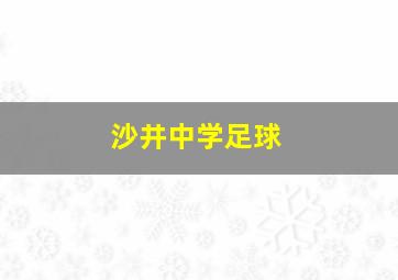 沙井中学足球