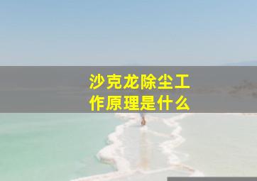 沙克龙除尘工作原理是什么