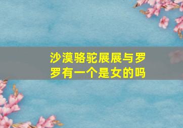 沙漠骆驼展展与罗罗有一个是女的吗