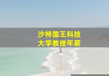 沙特国王科技大学教授年薪