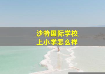 沙特国际学校上小学怎么样