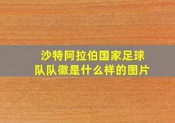 沙特阿拉伯国家足球队队徽是什么样的图片