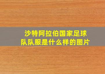 沙特阿拉伯国家足球队队服是什么样的图片