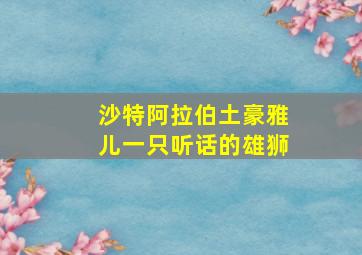 沙特阿拉伯土豪雅儿一只听话的雄狮