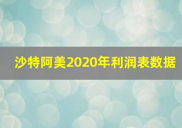 沙特阿美2020年利润表数据