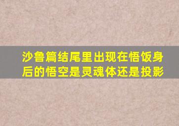 沙鲁篇结尾里出现在悟饭身后的悟空是灵魂体还是投影