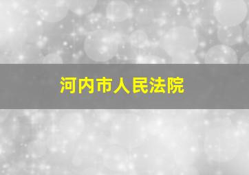 河内市人民法院