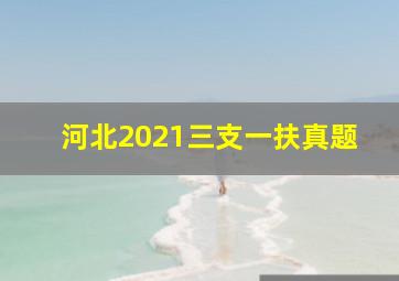 河北2021三支一扶真题