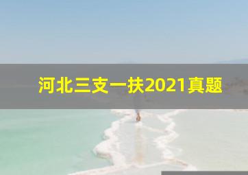 河北三支一扶2021真题