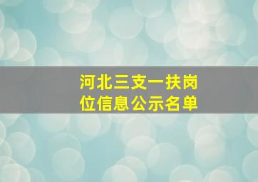 河北三支一扶岗位信息公示名单