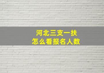 河北三支一扶怎么看报名人数