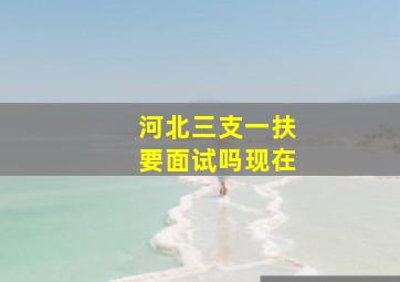 河北三支一扶要面试吗现在