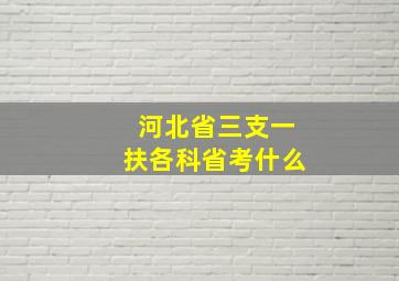 河北省三支一扶各科省考什么