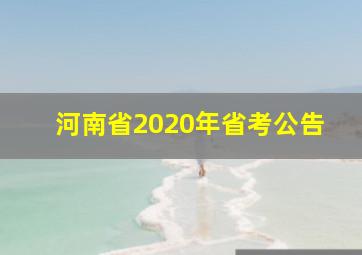 河南省2020年省考公告