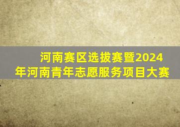 河南赛区选拔赛暨2024年河南青年志愿服务项目大赛