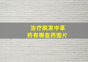 治疗脱发中草药有哪些药图片