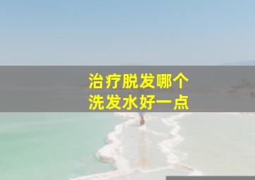 治疗脱发哪个洗发水好一点