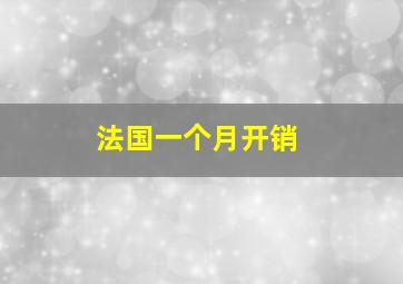 法国一个月开销