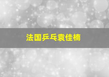 法国乒乓袁佳楠