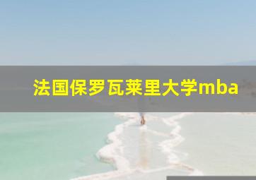 法国保罗瓦莱里大学mba