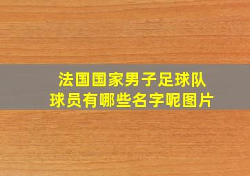 法国国家男子足球队球员有哪些名字呢图片