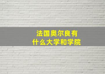 法国奥尔良有什么大学和学院