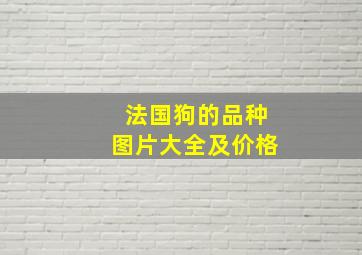 法国狗的品种图片大全及价格