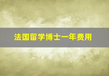 法国留学博士一年费用