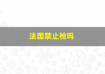 法国禁止枪吗