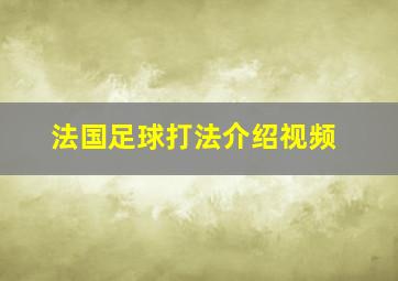 法国足球打法介绍视频