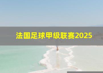 法国足球甲级联赛2025