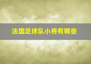 法国足球队小将有哪些