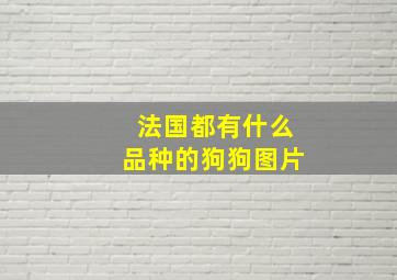 法国都有什么品种的狗狗图片