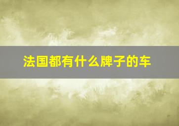 法国都有什么牌子的车