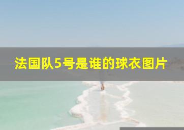 法国队5号是谁的球衣图片