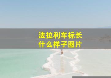 法拉利车标长什么样子图片