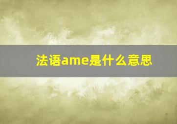 法语ame是什么意思