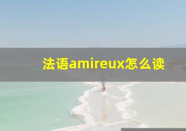 法语amireux怎么读