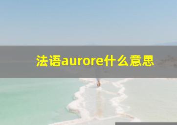 法语aurore什么意思