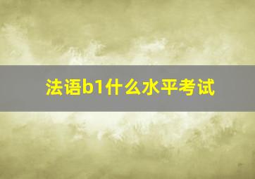 法语b1什么水平考试