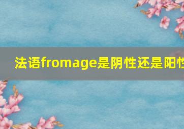 法语fromage是阴性还是阳性