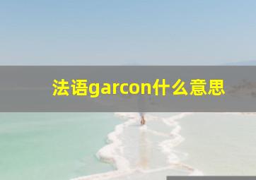 法语garcon什么意思