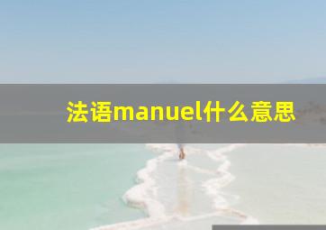 法语manuel什么意思