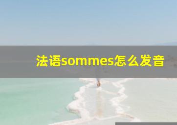 法语sommes怎么发音