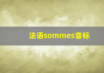 法语sommes音标