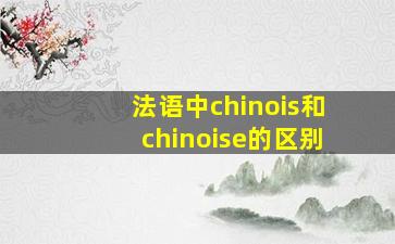 法语中chinois和chinoise的区别