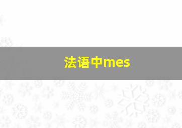 法语中mes