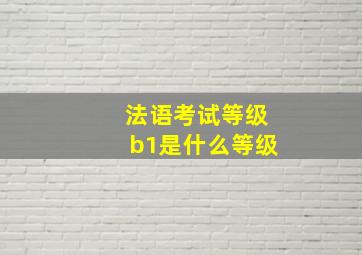 法语考试等级b1是什么等级