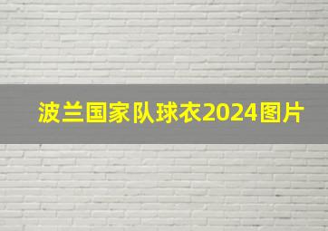 波兰国家队球衣2024图片